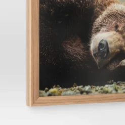 20" X 16" Bear Photography Framed Art Brown - Threshold™ -Decoration Serie Store GUEST 8d29808a 8d0a 4121 a8c8 64d15cc45658